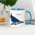 thumbnail image 4 of CafePress - Steller's Jay Mug - 11 oz Ceramic Mug - Novelty Coffee Tea Cup, 4 of 6