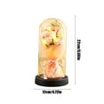 thumbnail image 3 of Loespoir Valentines Rose Gifts For Women, Eternal Rose Flower Arrangement, Glass Dome Presentation, Light Up Display, Birthday Gift, Home Centerpiece, Shelf(Pink), 3 of 6