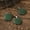 Earrings, variant on Elegant Dark Green Round Pendant Jewelry Set, Vintage Bohemian Style Women's Accessories, Novelty Wooden Earrings and Necklace Combo, Perfect Gift for Best Friends/Sisters, Ideal for Outdoor and