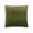 Green, variant on Cloud9 Design Noah Navy Silver 24" x 24" Velvet Decorative Pillow