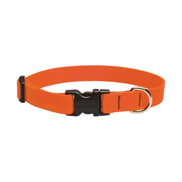 LUPINE DOG COLLAR 9-14"BLZORNG (Pack of 1)