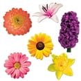 thumbnail image 2 of 72 Pieces Beautiful and Colorful Flower Cutouts 16.75", 2 of 2