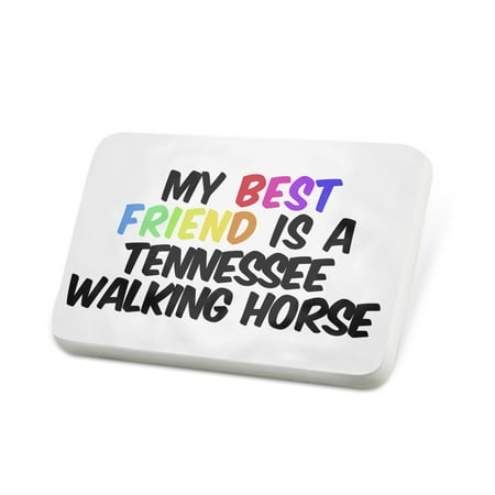 Porcelein Pin My best Friend a Tennessee Walking Horse Lapel Badge –