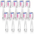 thumbnail image 1 of Electric Toothbrush Replacement Brush Heads for Seago Kids, 1 of 7
