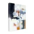 thumbnail image 2 of Victoria Barnes 'Variant II' Canvas Art, 2 of 4