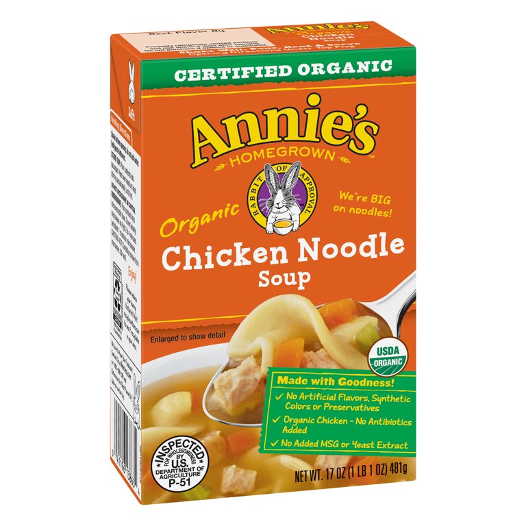 Organic Chicken Noodle Soup, 17 oz - TrueFood