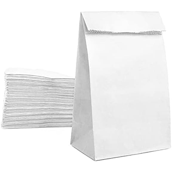 TAVENE 50 Count Large 8LB Strong White Paper Lunch Bags Kraft White Paper Bags White Lunch Sacks for Small Business