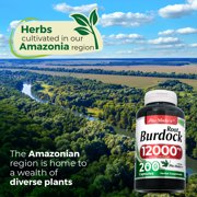 Burdock Root | Burdock Root Organic | 200 Capsules