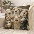 thumbnail image 6 of TanSiDing Cute Cat Pillowcase Hidden Zipper Pet Lover Gift Soft Nylon Decorative Throw Pillow Cover for Bedroom Sofa Living Room Office Decor 17.72in, 6 of 6