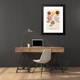 thumbnail image 4 of Charles Antoine Lemaire 18x24 Black Modern Framed Museum Art Print Titled - Dwarf Chrysanthemum (New) Autumn (1854-1896), 4 of 5