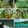 Innens Fence Plant Fruits Trees Mesh Protective Net / Nails＆Ties Anti