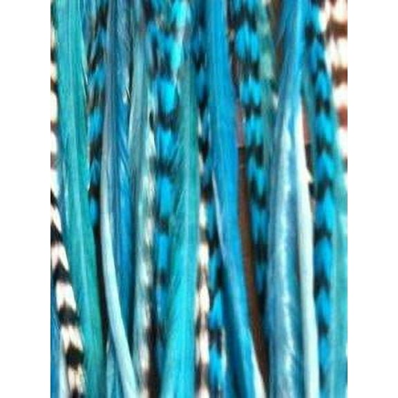 Feather Hair Extension 5 Genuine 8-10 Tourqoise Feathers for Hair Extension (One Feather Extension)
