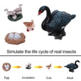 thumbnail image 4 of Miangastore Simulated Plastic Animal Models Assorted Color 1 Set 3.5x2.6x1.2in, 4 of 8