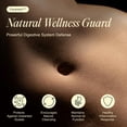 thumbnail image 2 of Suplemento Nutricional Ecosh ParaHerb 240 Cápsulas Desintoxicación Intestinal, 2 of 7