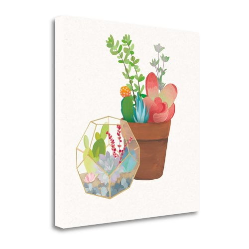 Tangletown Fine Art 'Succulent Garden III' Print on Canvas