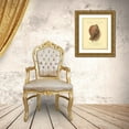 thumbnail image 3 of Vision Studio 26x32 Gold Ornate Wood Framed with Double Matting Museum Art Print Titled - Coquilles De Mer IV, 3 of 4