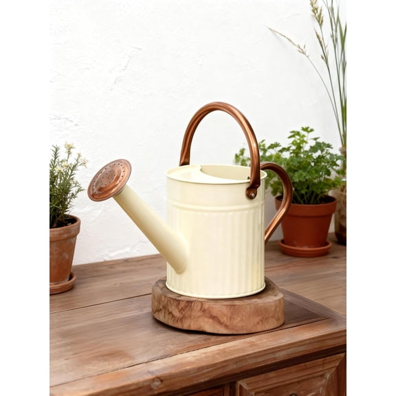 Watering Can for Indoor Outdoor Plant Metal Watering Can with Removable Spout Embossd Design Plant Watering Devices Stainless Steel 1/2 Gallon Watering Cans Perfect Home & Garden Décor Creamy