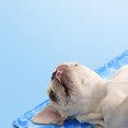 thumbnail image 3 of Tapis Rafraîchissant pour Animaux, Imperméable, Rectangulaire, en Gel, Tapis pour Chien, Coussin Rafraîchissant pour Chat pour l'Été, 3 of 10