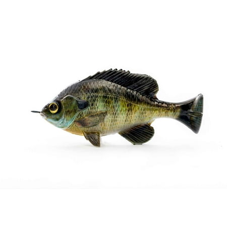 UPC: 0840004225265 | Savage Gear Pulse Tail Bluegill LB Bluegill