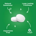thumbnail image 3 of Pack of 12, Pur Mints Spearmint, 1.05 oz, 3 of 4