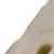 Bone White/Fresco Green