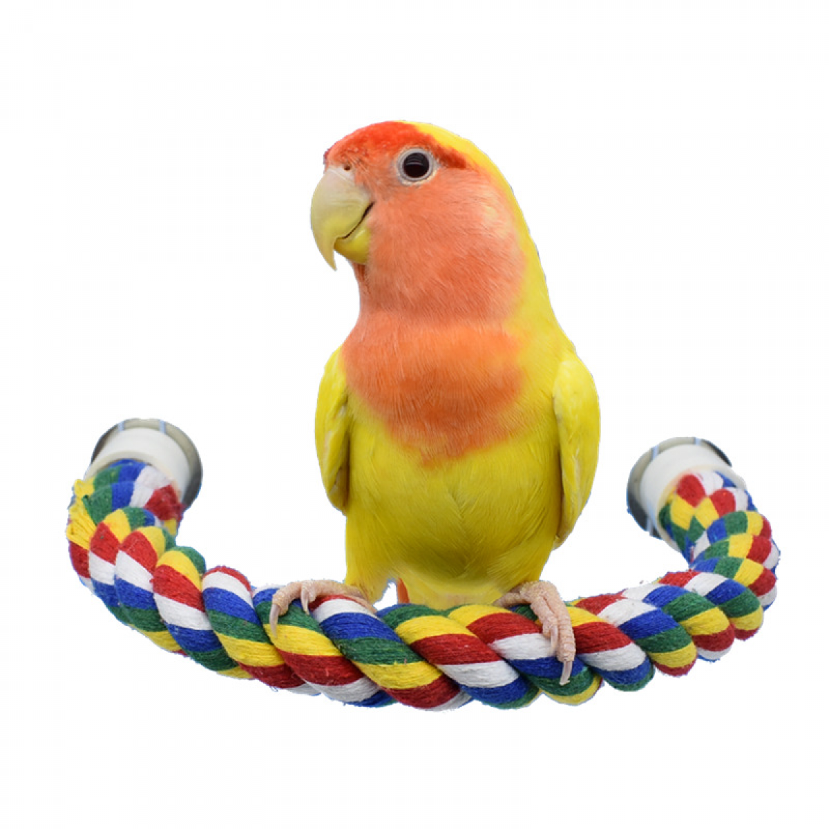 Cotton rope u-shaped bird stand pole for bird cage (80cm)
