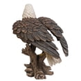 thumbnail image 4 of Pacific Giftware 17.5 inches Large American Bald Sea White-tailed Eagle stand on Wood Figurine Statue, 4 of 4