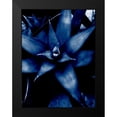 thumbnail image 2 of Phillip, Jamie 15x18 Black Modern Framed Museum Art Print Titled - Tropical 6, 2 of 5