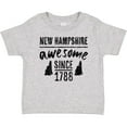 thumbnail image 3 of Inktastic New Hampshire Awesome Since 1788 Boys or Girls Baby T-Shirt, 3 of 5