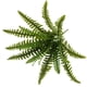 thumbnail image 1 of Kearding Planta artificial respetuosa del medio ambiente plástica del mantenimiento bajo en plantas artificiales modernas de las flores Decoración helecho de 18 cabezas, 1 of 6