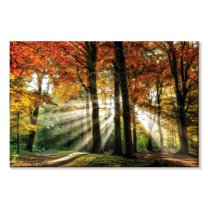 Elephant Stock Dreaming In Color Wall Art - Horizontal Canvas Wall Art - Living Room Wall Decor - Nature Canvas - Orange And Yellow Decor By Lars Van De Goor - 45" x 30"