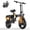 Z6-PLUS, variant on AZHAR 750W Foldable Electric Bike for Adults, 48V 10Ah Removable Battery, 14" Ebike, Electric Mini Bike,The range is 30 miles UL 2849