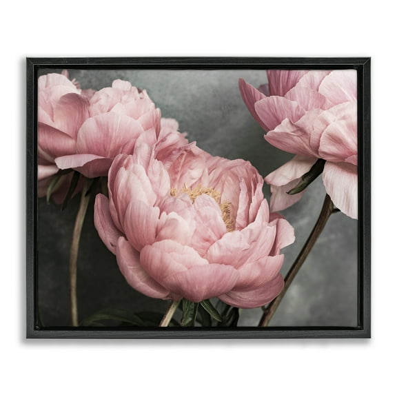 Stupell Industries Pink Peonies Trio Plants & Flowers Painting Black Floater Framed Canvas Art Print Wall Art, 21 x 17