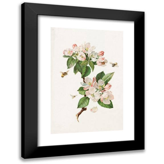 Alois Lunzer 11x14 Black Modern Framed Museum Art Print Titled - Apple Blossoms and Bees (1885)