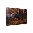thumbnail image 2 of Trademark Fine Art 'Autumn Reds Red Fox' Canvas Art by Wilhelm Goebel, 2 of 3