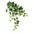 thumbnail image 1 of Vickerman 18" Varigated Green Ivy Hanging Bsh 3/Pk - FZ190218, 1 of 3