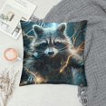 BCIIG Raccoon Lightning Bolt Movie Graphic Decorative Cushion Throw