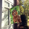 thumbnail image 2 of Carolines Treasures CK1800CHF Trèfles Labradoodle Drapeau Toile Maison Taille, 2 of 4