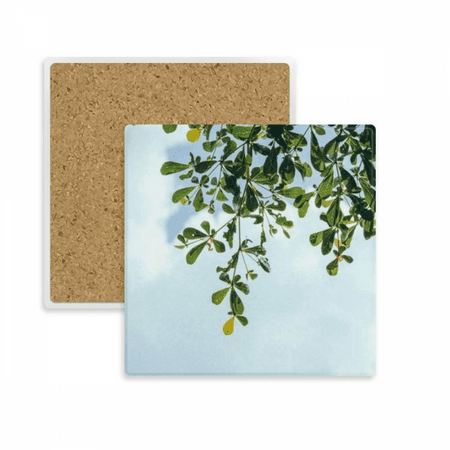 

green blue sky square coaster cup mat mug subplate holder insulation stone