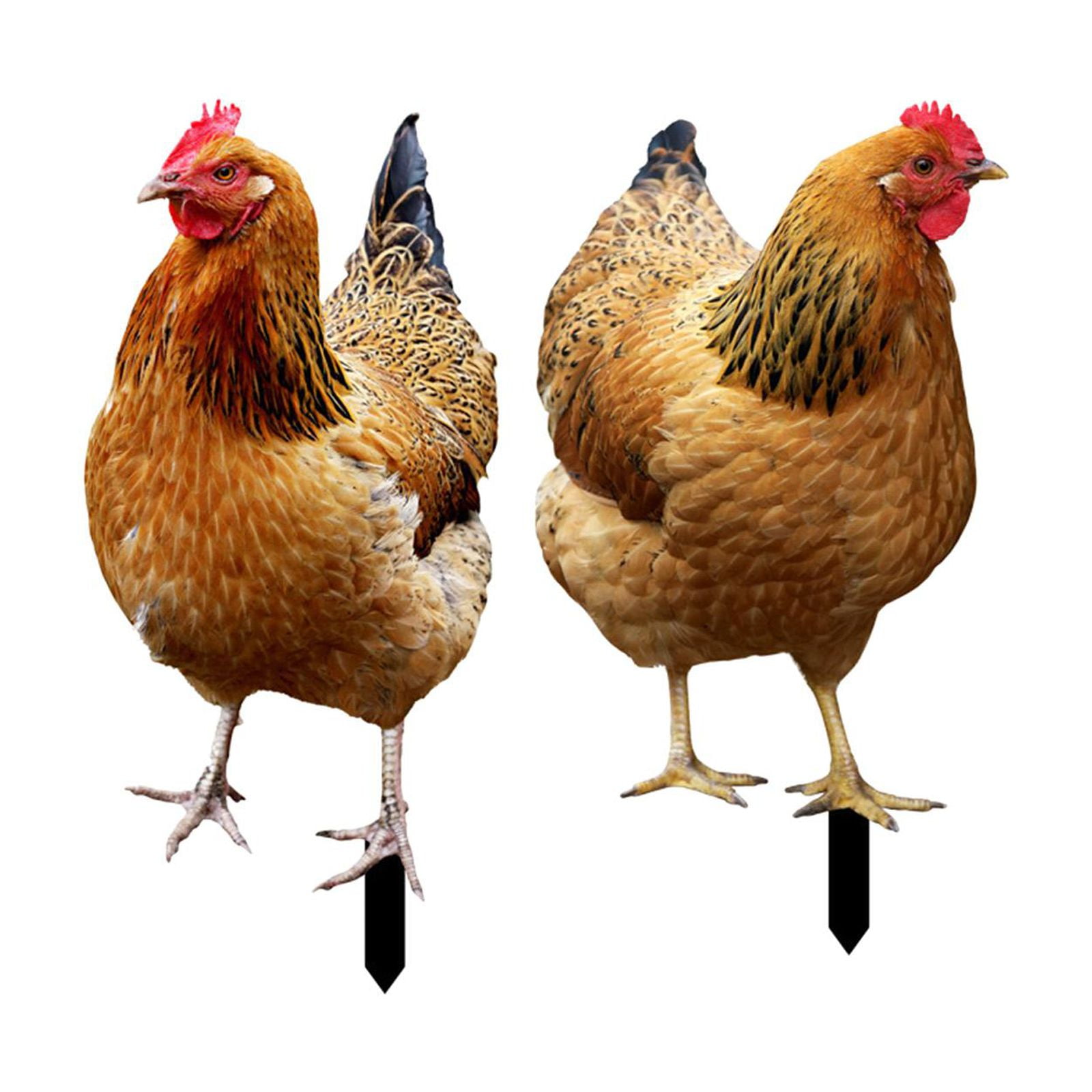 Kuntesetty 2 Pieces Hen Statue Garden Stakes Yard Art Ornaments Realistic Animal Sculptures