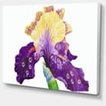 thumbnail image 2 of Blooming Blue Yellow Iris - Floral Canvas Art print, 2 of 3