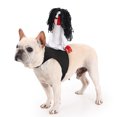 thumbnail image 1 of SUNSIOM Pet Halloween Knight Saddle Costume Pumpkin Funny Ghost Riding Clothes for Dogs/Cats, 1 of 6