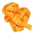 thumbnail image 2 of SKISUNO 1Set Orange Polyester Gym Dance Ribbon Twirling Ribbon For Artistic Training Equipment 4m*5cm 50cm, 2 of 3