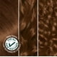 thumbnail image 5 of Garnier Nutrisse Tinte para el cabello, 53 castaño dorado medio (castaña), Paquete con 2, 5 of 9