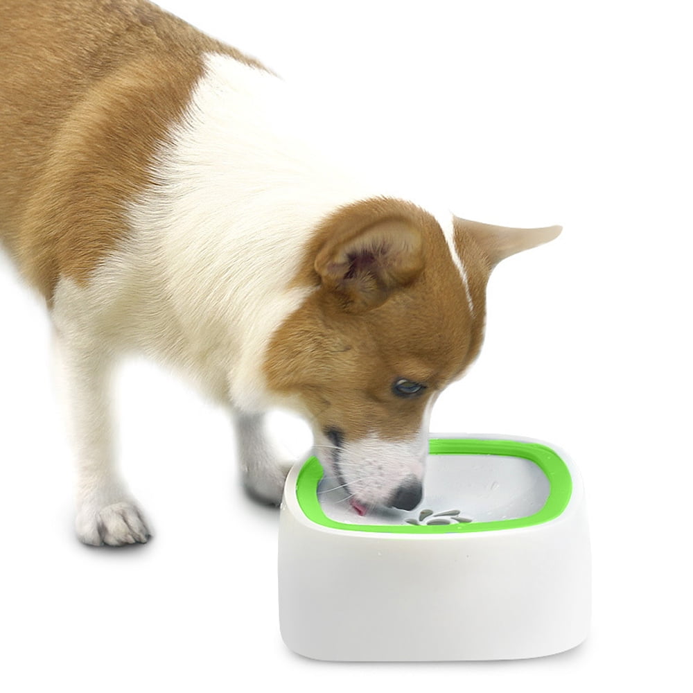 Dog Water Bowl No Spill Dog Bowl Extra Large Capacity Slow Drinking Water Feeder - green