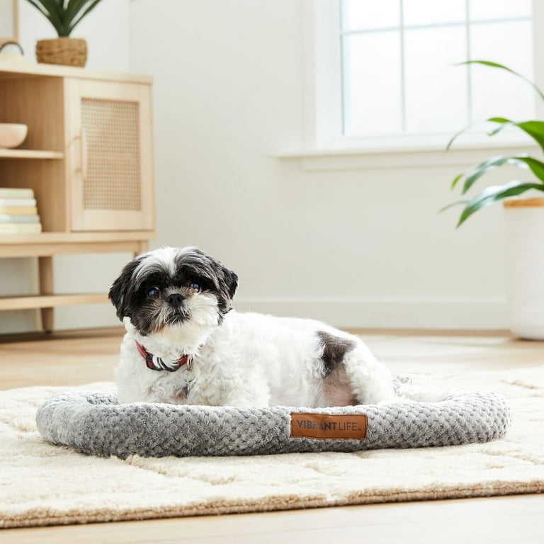 Vibrant Life Cozy Luxe Pet Bed, Gray, 24 inches, Supports Comfort - Main Image