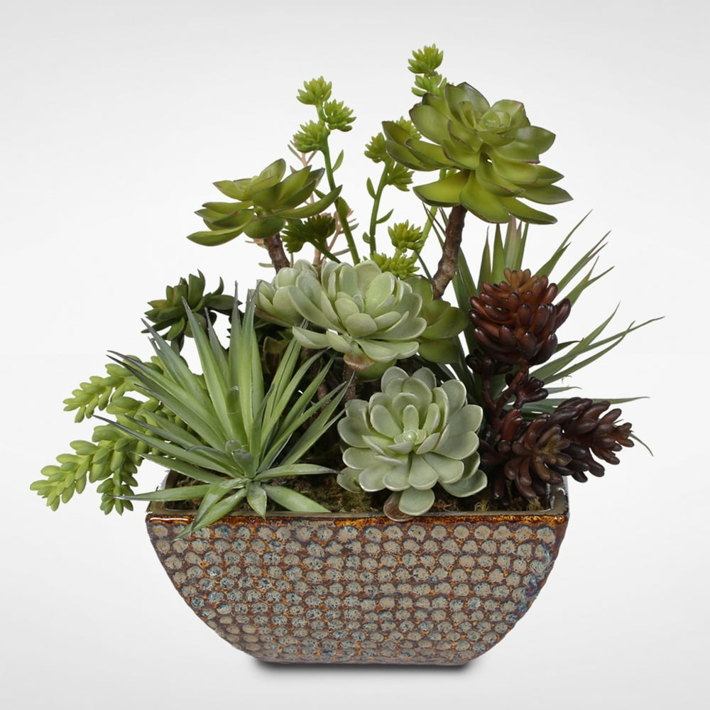 Attractive Succulent Centerpiece in Ceramic Pot - Walmart.com - Walmart.com