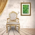 thumbnail image 3 of Jones, Adam 11x14 Gold Ornate Wood Framed with Double Matting Museum Art Print Titled - Fern pattern in forest-Yosemite National Park-California, 3 of 4
