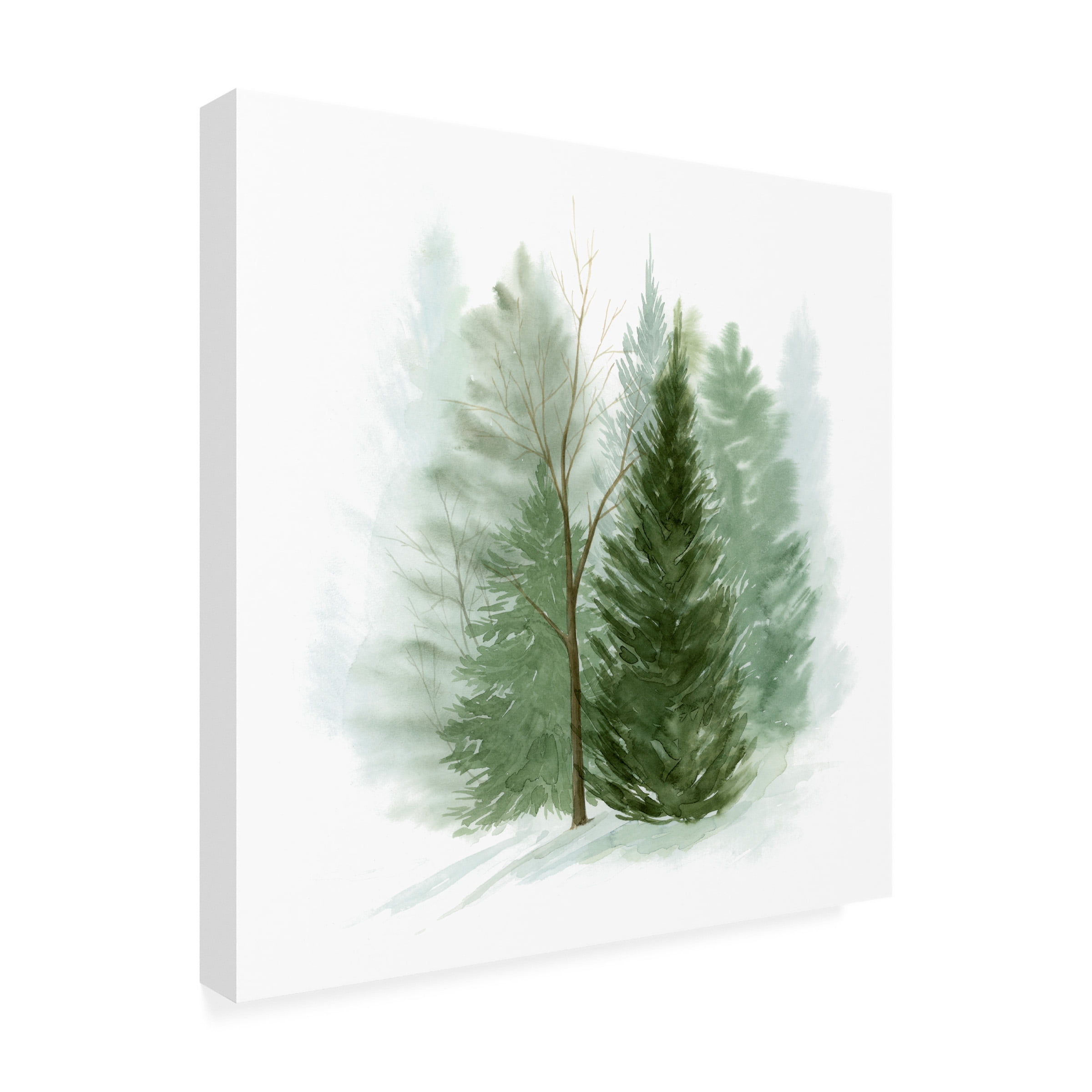 Grace Popp 'Walk in the Woods I' Canvas Art