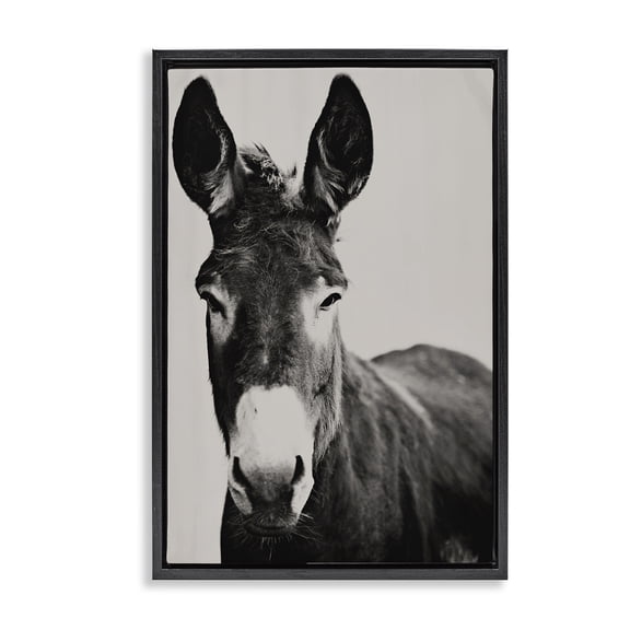 Stupell Industries Franz the Donkey Portrait Black Framed Floater Canvas Wall Art, design by Amy Carroll